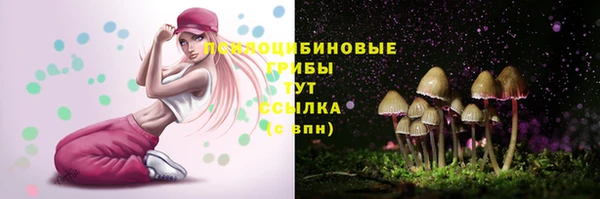 mix Гусев