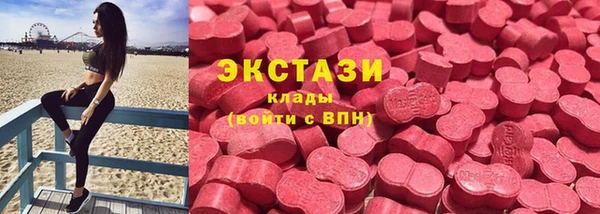 сатива Горняк