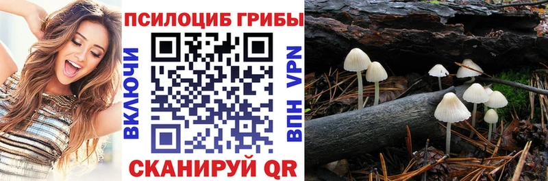 Купить где  Новозыбков  Галлюциногенные грибы мицелий 